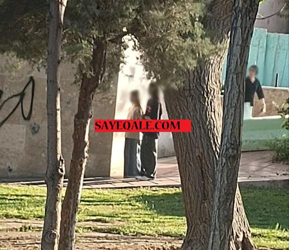 وضعیت پارک ولیعصر شهر قدس